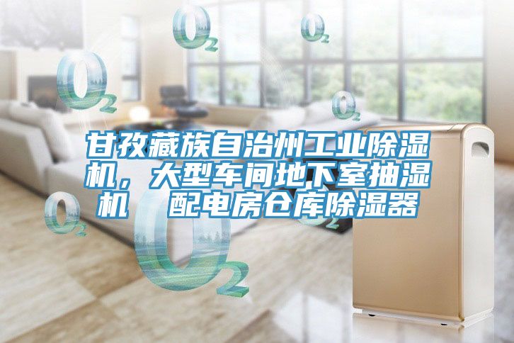 甘孜藏族自治州工業(yè)除濕機，大型車間地下室抽濕機  配電房倉庫除濕器