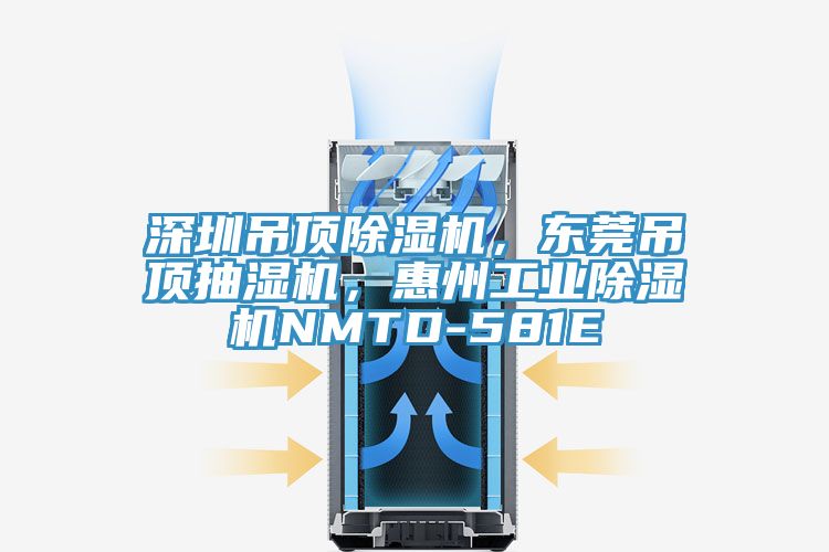 深圳吊頂除濕機(jī)，東莞吊頂抽濕機(jī)，惠州工業(yè)除濕機(jī)NMTD-581E