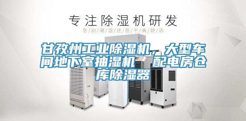 甘孜州工業(yè)除濕機，大型車間地下室抽濕機  配電房倉庫除濕器
