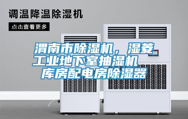 渭南市除濕機(jī)，濕菱工業(yè)地下室抽濕機(jī)  庫房配電房除濕器