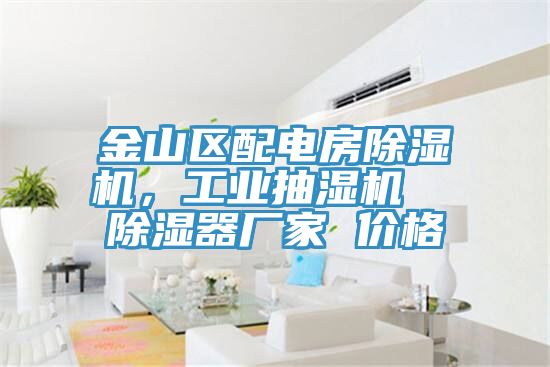 金山區(qū)配電房除濕機(jī)，工業(yè)抽濕機(jī)  除濕器廠家 價(jià)格