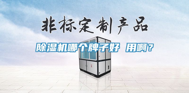 除濕機(jī)哪個(gè)牌子好 用?。?></div>
								<div   id=