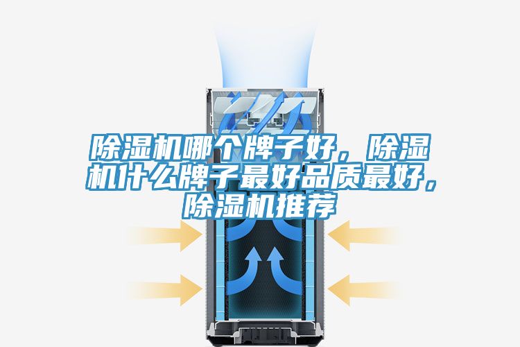除濕機(jī)哪個(gè)牌子好，除濕機(jī)什么牌子最好品質(zhì)最好，除濕機(jī)推薦