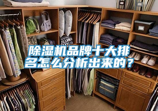 除濕機(jī)品牌十大排名怎么分析出來的？