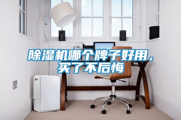 除濕機(jī)哪個(gè)牌子好用，買了不后悔