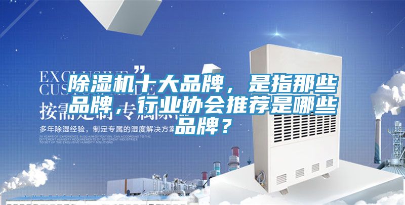 除濕機(jī)十大品牌，是指那些品牌，行業(yè)協(xié)會(huì)推薦是哪些品牌？