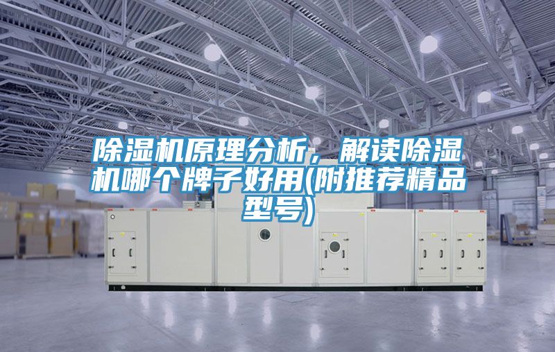 除濕機原理分析，解讀除濕機哪個牌子好用(附推薦精品型號)