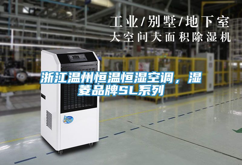 浙江溫州恒溫恒濕空調(diào)，濕菱品牌SL系列