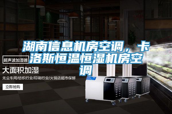 湖南信息機(jī)房空調(diào)，卡洛斯恒溫恒濕機(jī)房空調(diào)