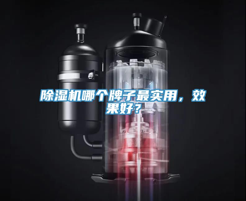 除濕機(jī)哪個(gè)牌子最實(shí)用，效果好？