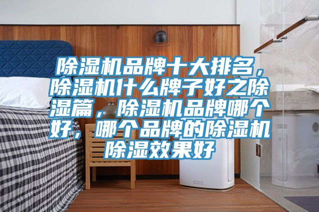 除濕機品牌十大排名，除濕機什么牌子好之除濕篇，除濕機品牌哪個好，哪個品牌的除濕機除濕效果好