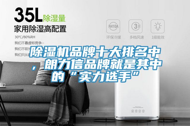 除濕機(jī)品牌十大排名中，朗力信品牌就是其中的“實(shí)力選手”