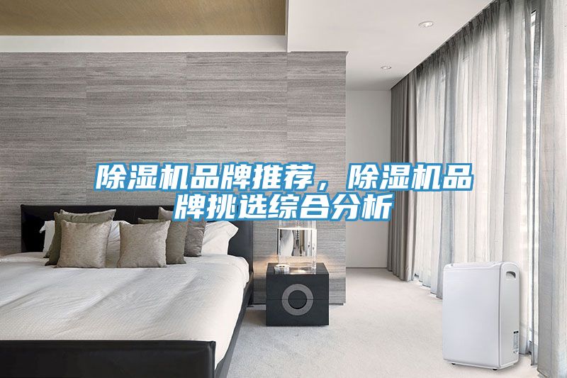 除濕機品牌推薦，除濕機品牌挑選綜合分析