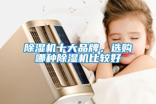 除濕機(jī)十大品牌，選購(gòu)哪種除濕機(jī)比較好