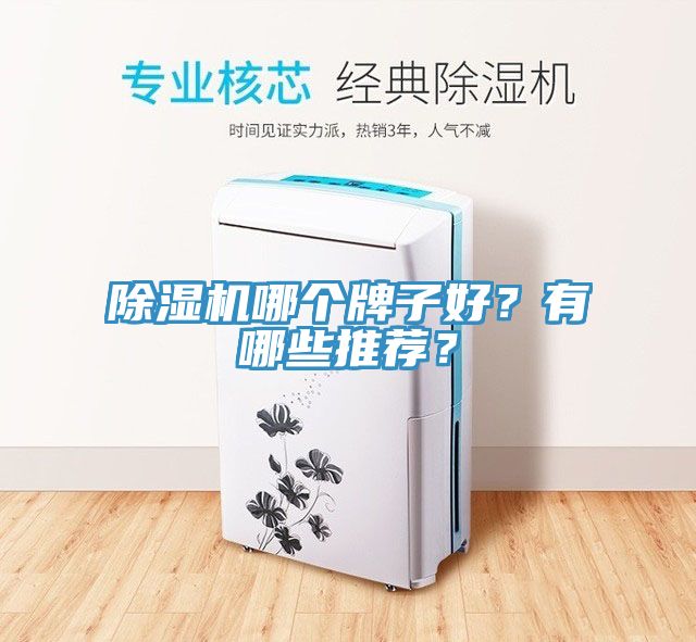 除濕機(jī)哪個(gè)牌子好？有哪些推薦？