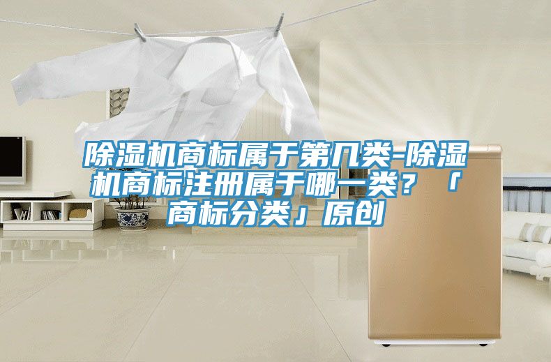 除濕機(jī)商標(biāo)屬于第幾類-除濕機(jī)商標(biāo)注冊屬于哪一類？「商標(biāo)分類」原創(chuàng)