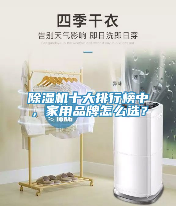 除濕機(jī)十大排行榜中，家用品牌怎么選？