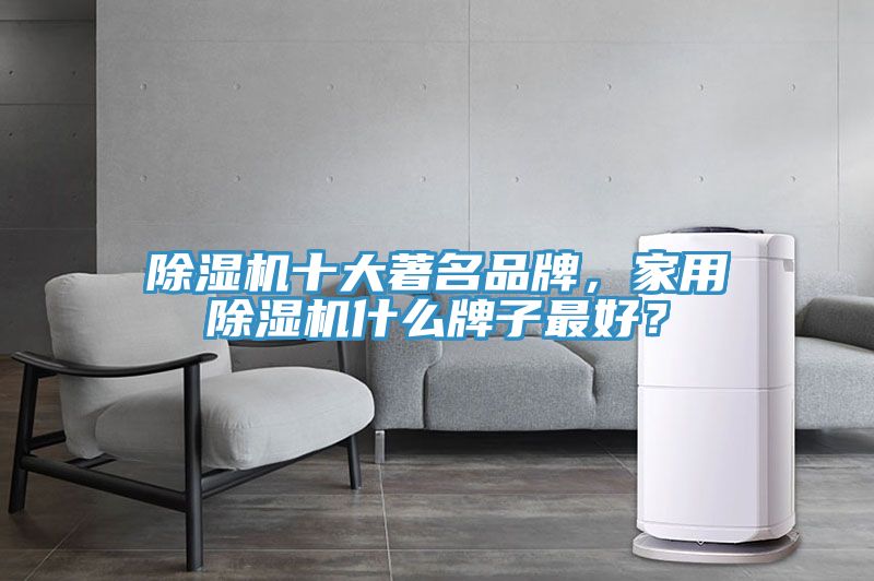 除濕機(jī)十大著名品牌，家用除濕機(jī)什么牌子最好？