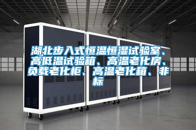 湖北步入式恒溫恒濕試驗(yàn)室、高低溫試驗(yàn)箱、高溫老化房、負(fù)載老化柜、高溫老化箱、非標(biāo)