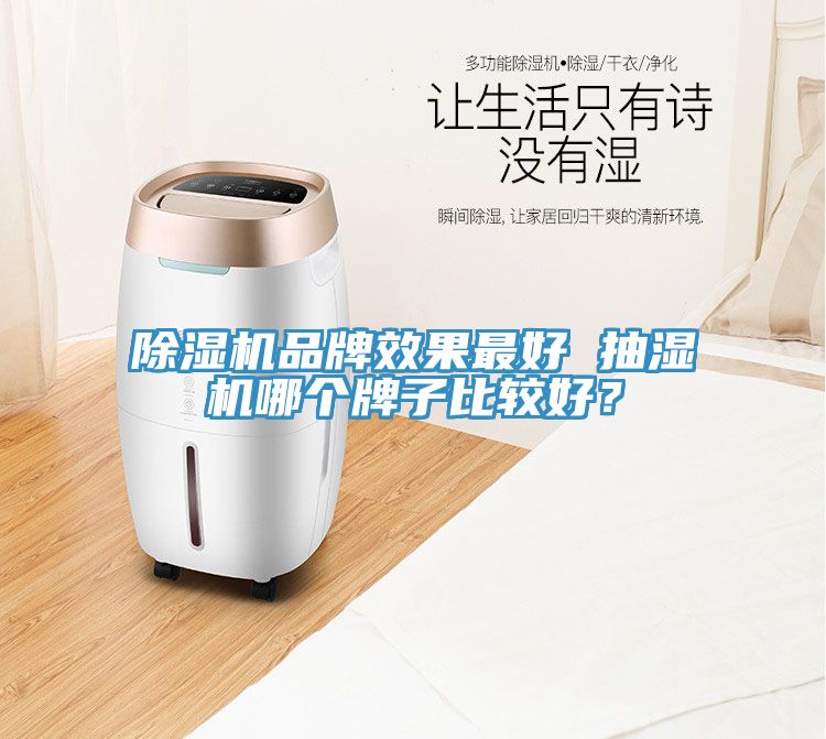 除濕機品牌效果最好 抽濕機哪個牌子比較好？