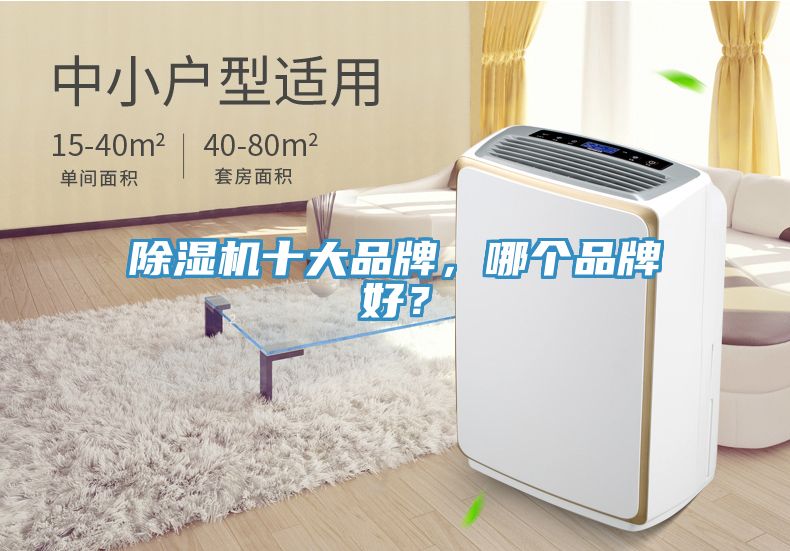 除濕機(jī)十大品牌，哪個(gè)品牌好？
