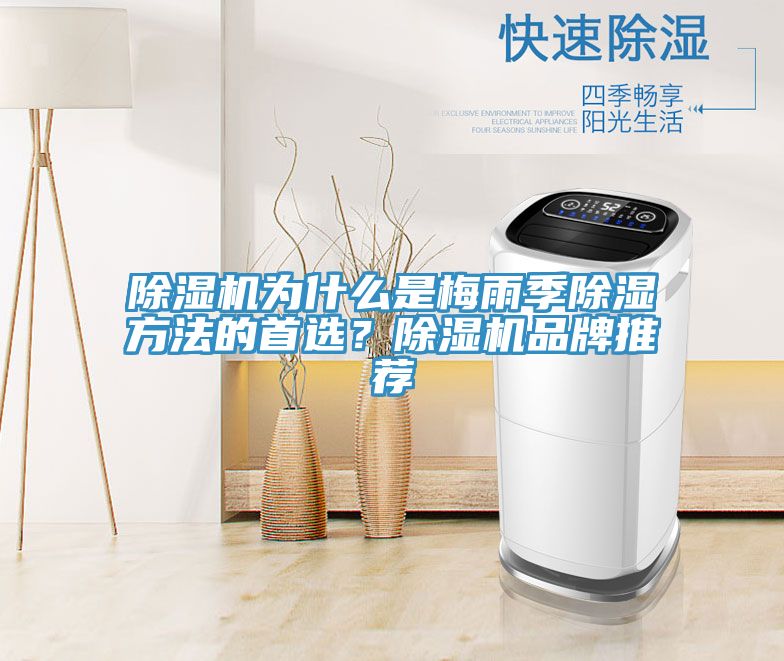 除濕機(jī)為什么是梅雨季除濕方法的首選？除濕機(jī)品牌推薦