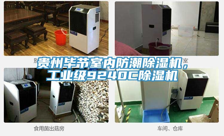 貴州畢節(jié)室內(nèi)防潮除濕機，工業(yè)級9240C除濕機