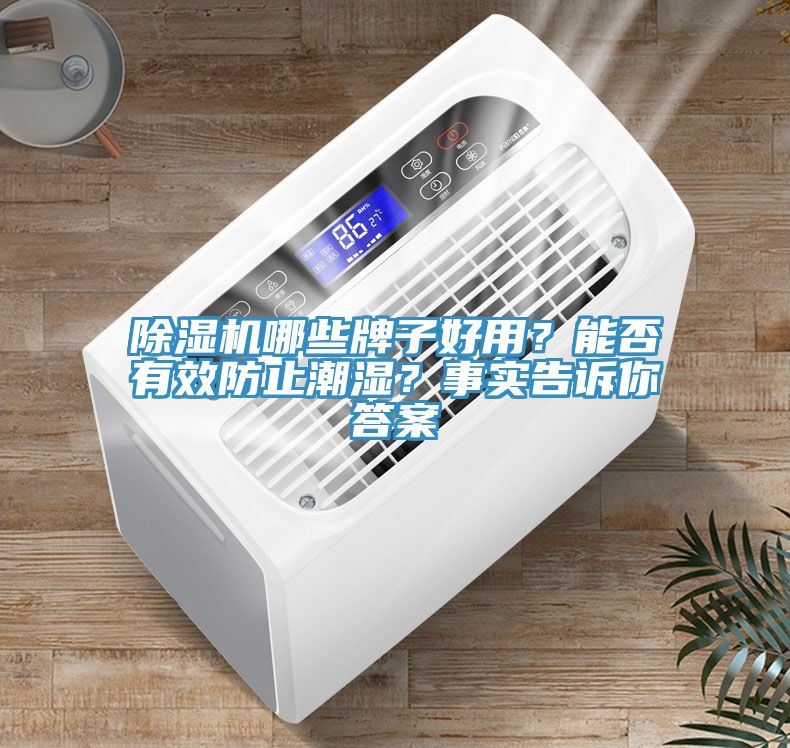 除濕機(jī)哪些牌子好用？能否有效防止潮濕？事實(shí)告訴你答案