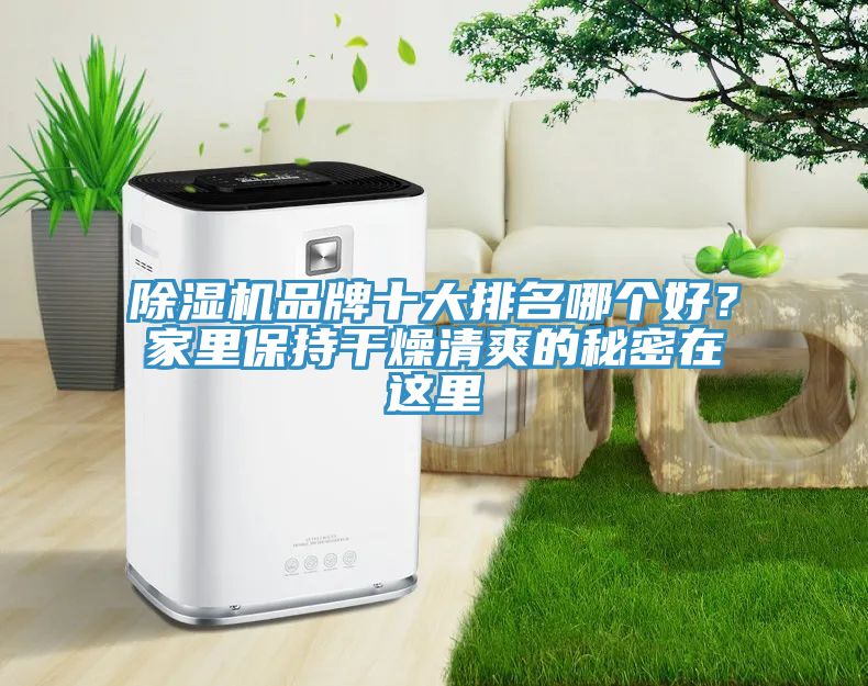 除濕機(jī)品牌十大排名哪個(gè)好？家里保持干燥清爽的秘密在這里
