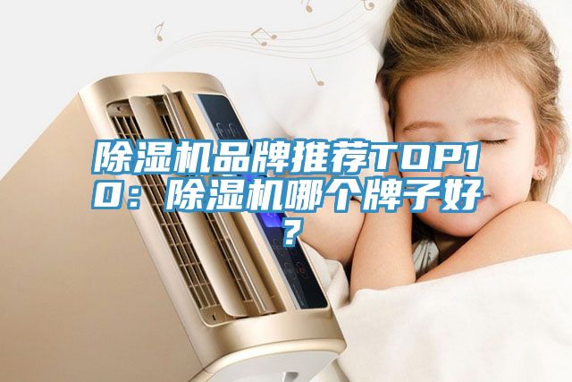 除濕機品牌推薦TOP10：除濕機哪個牌子好？