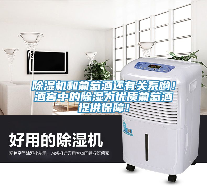 除濕機(jī)和葡萄酒還有關(guān)系喲！酒窖中的除濕為優(yōu)質(zhì)葡萄酒提供保障！