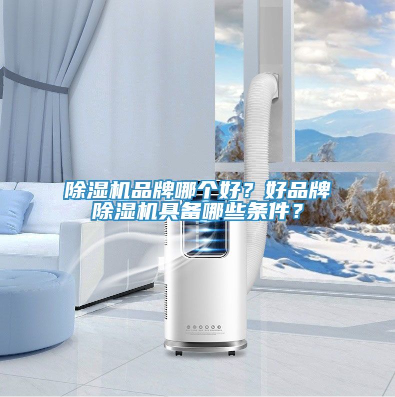 除濕機品牌哪個好？好品牌除濕機具備哪些條件？