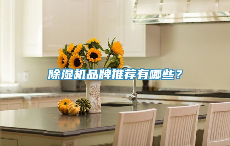 除濕機品牌推薦有哪些？