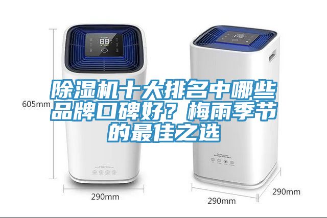 除濕機(jī)十大排名中哪些品牌口碑好？梅雨季節(jié)的最佳之選