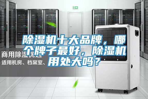 除濕機(jī)十大品牌，哪個(gè)牌子最好，除濕機(jī)用處大嗎？