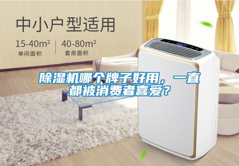 除濕機(jī)哪個(gè)牌子好用，一直都被消費(fèi)者喜愛(ài)？