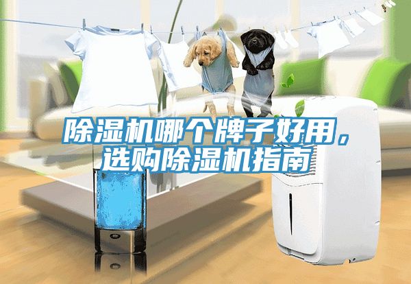 除濕機(jī)哪個(gè)牌子好用，選購(gòu)除濕機(jī)指南