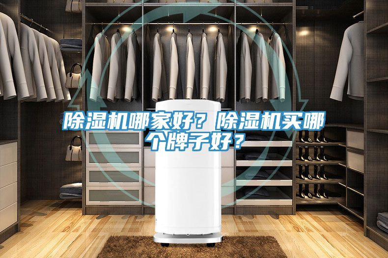 除濕機(jī)哪家好？除濕機(jī)買哪個(gè)牌子好？