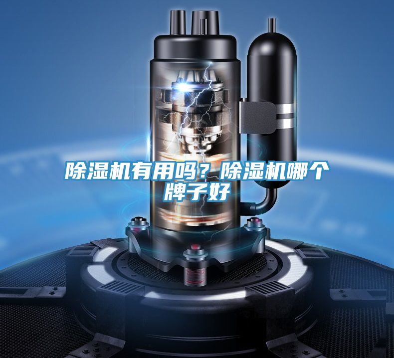 除濕機(jī)有用嗎？除濕機(jī)哪個(gè)牌子好