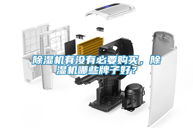 除濕機(jī)有沒有必要購(gòu)買，除濕機(jī)哪些牌子好？