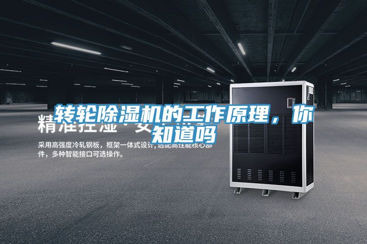 轉(zhuǎn)輪除濕機的工作原理，你知道嗎
