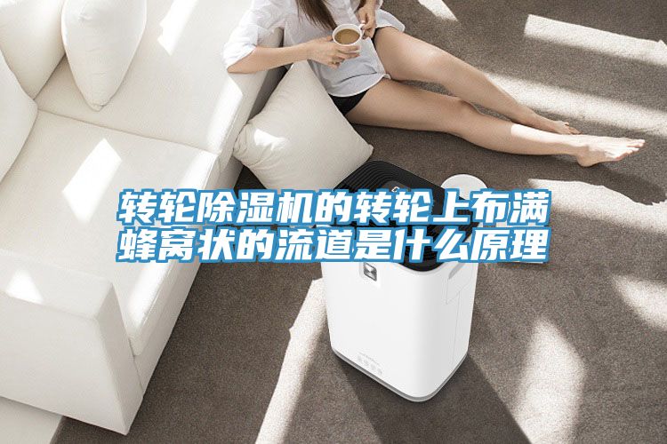 轉(zhuǎn)輪除濕機的轉(zhuǎn)輪上布滿蜂窩狀的流道是什么原理
