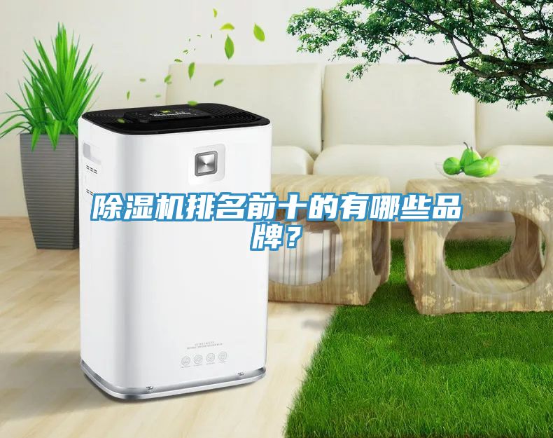 除濕機(jī)排名前十的有哪些品牌？