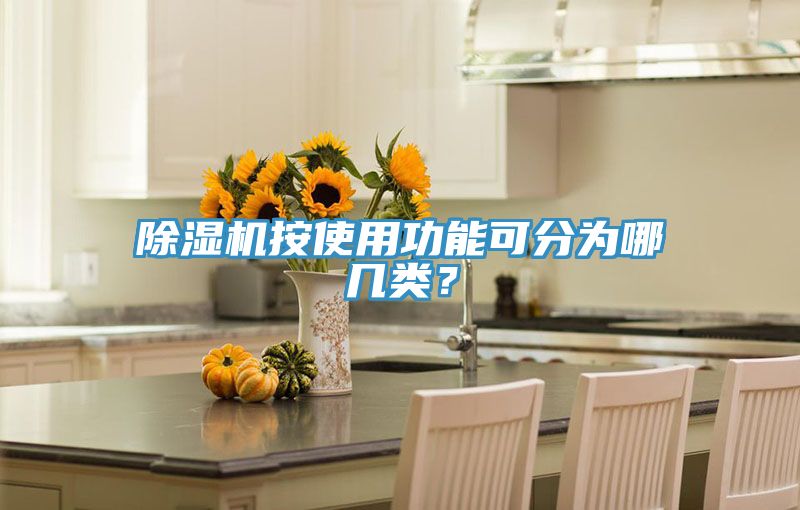除濕機(jī)按使用功能可分為哪幾類？