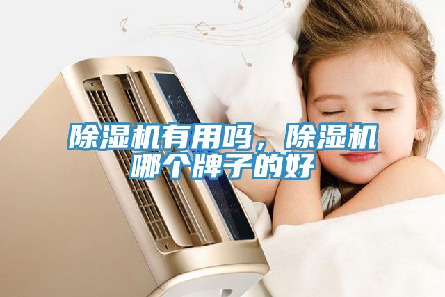 除濕機(jī)有用嗎，除濕機(jī)哪個(gè)牌子的好